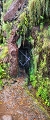 Plants: image 55 Of 208 Thumb